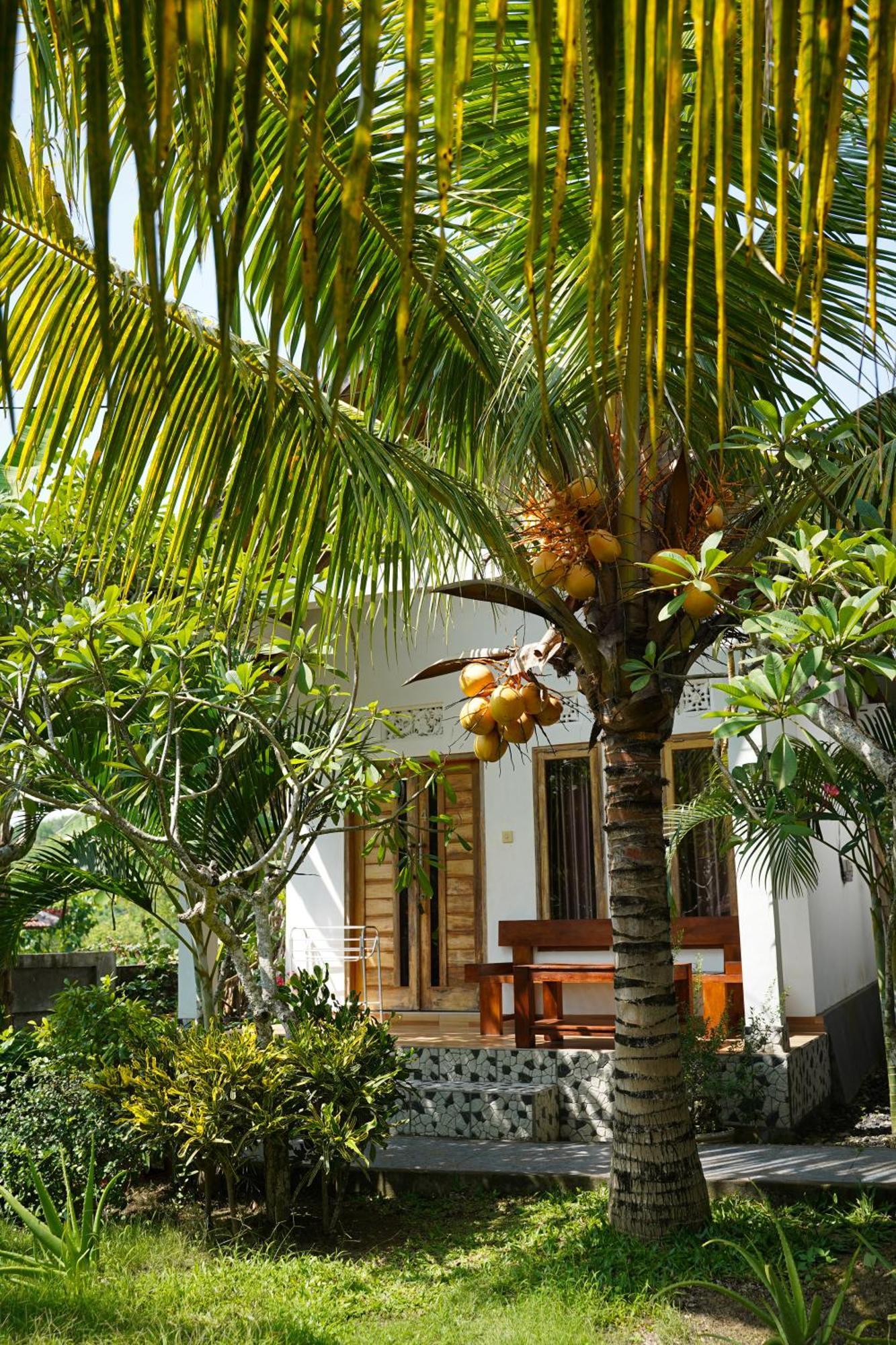 Wahyu Masari Homestay Sakti Exterior foto
